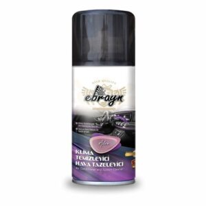 Ebrayn Klima Temizleyici Aden