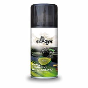 Ebrayn Klima Temizleyici Arya